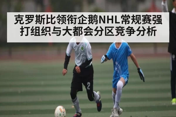 克罗斯比领衔企鹅NHL常规赛强打组织与大都会分区竞争分析